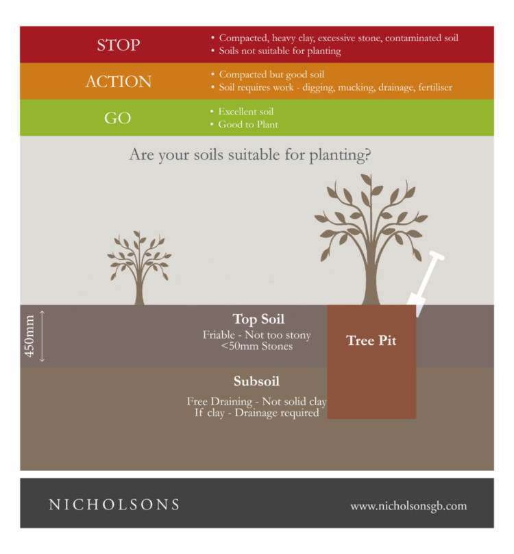 Guide to planting in soils infographic - Gardening Advice