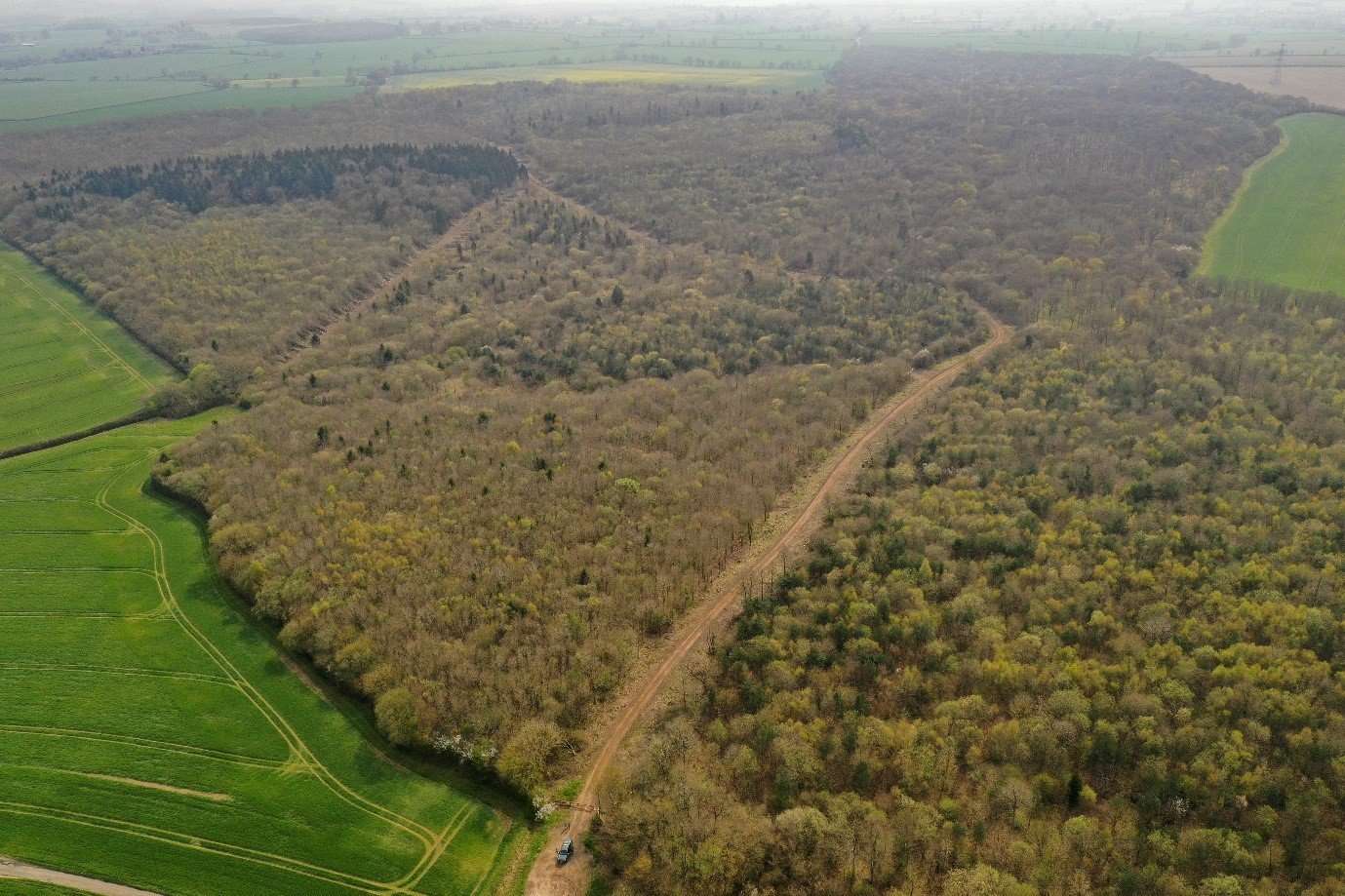 Wicken aerial