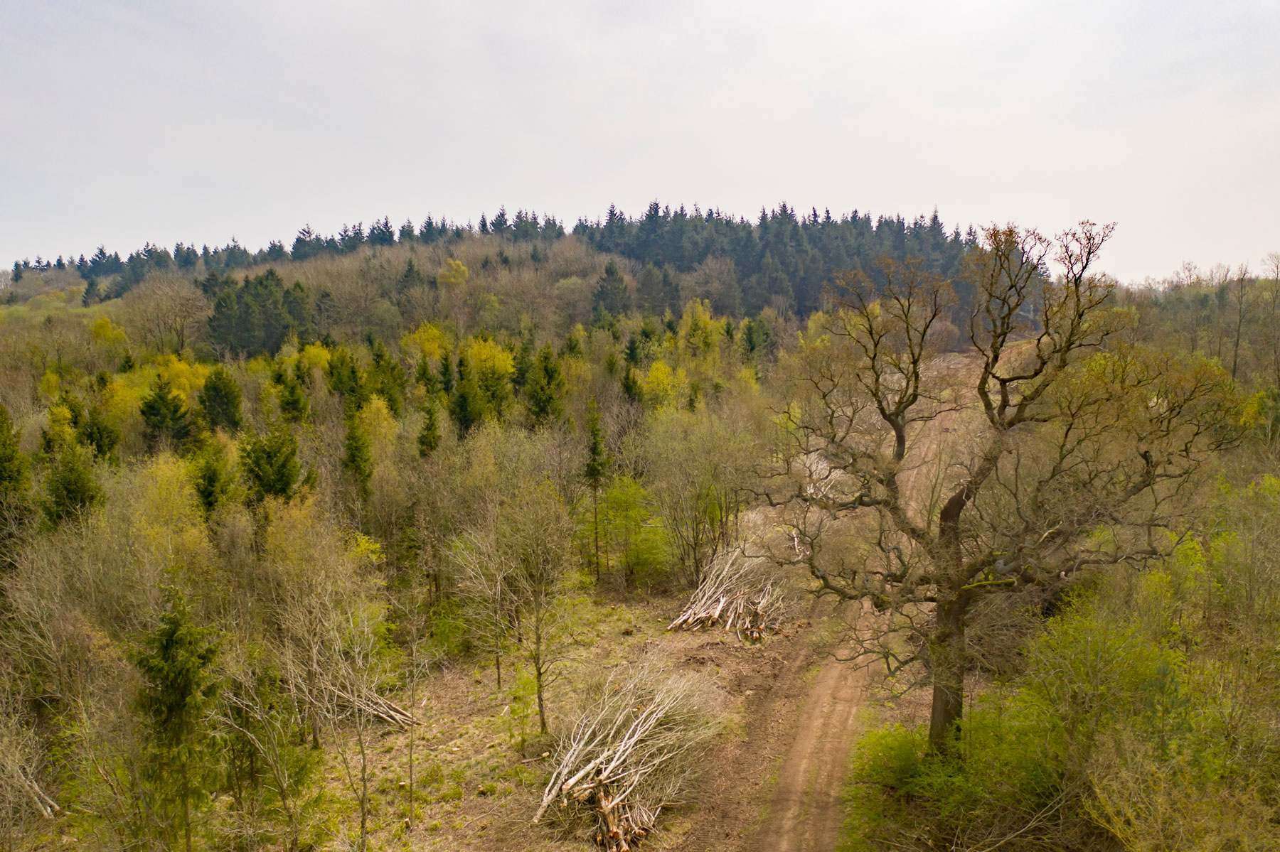 DJI_0456