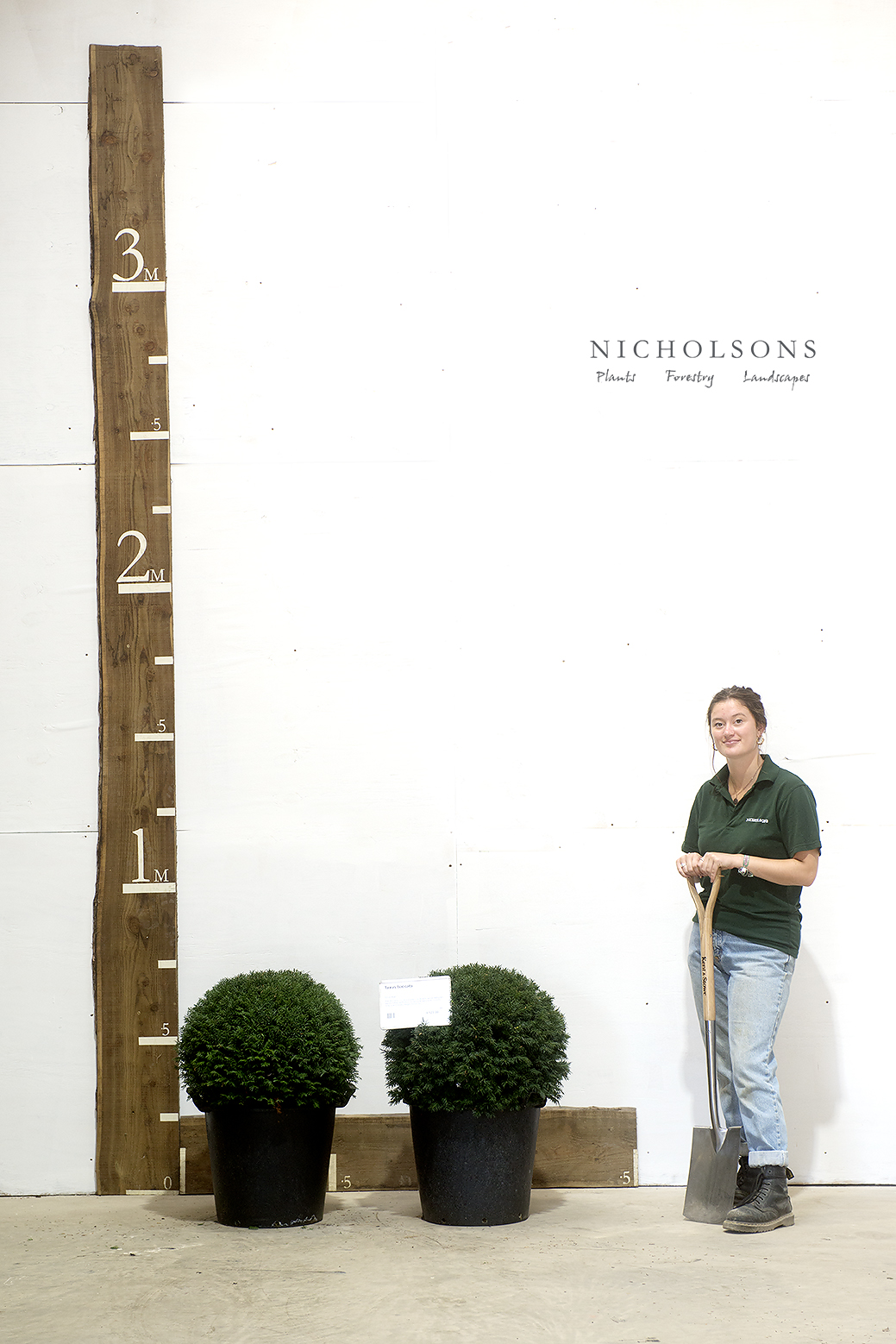 Topiary Gallery