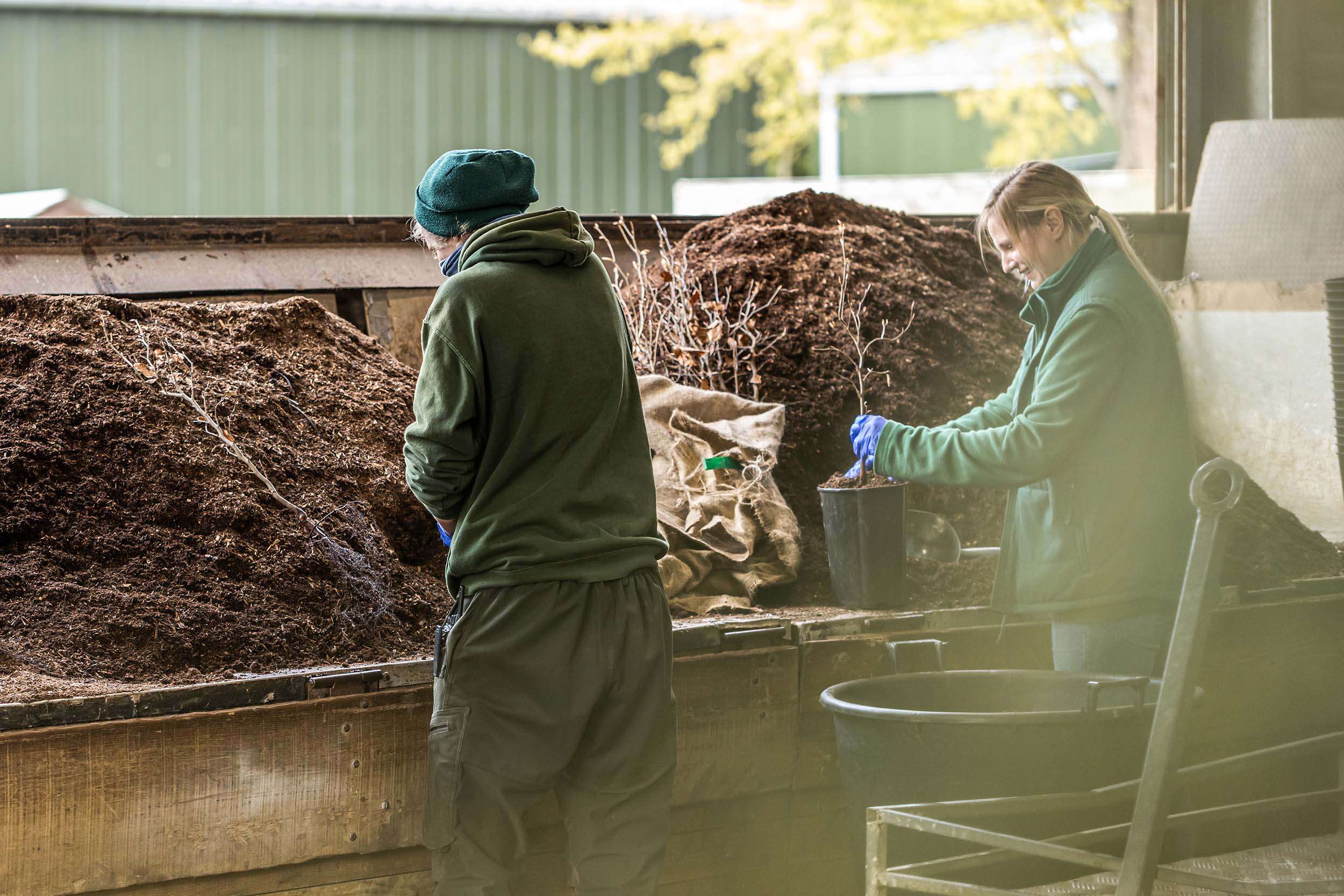 Nicholsons Potting Shed Nicholsons Potting Shed