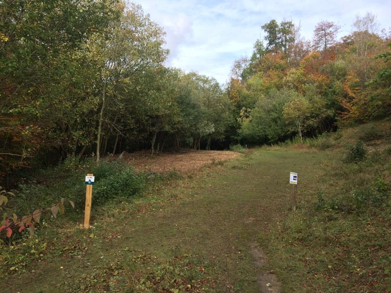 Glade after (1)