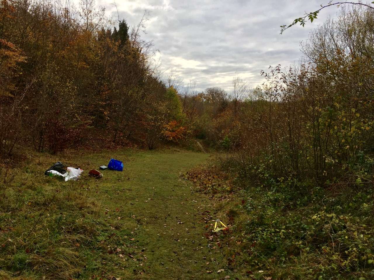 Glade before