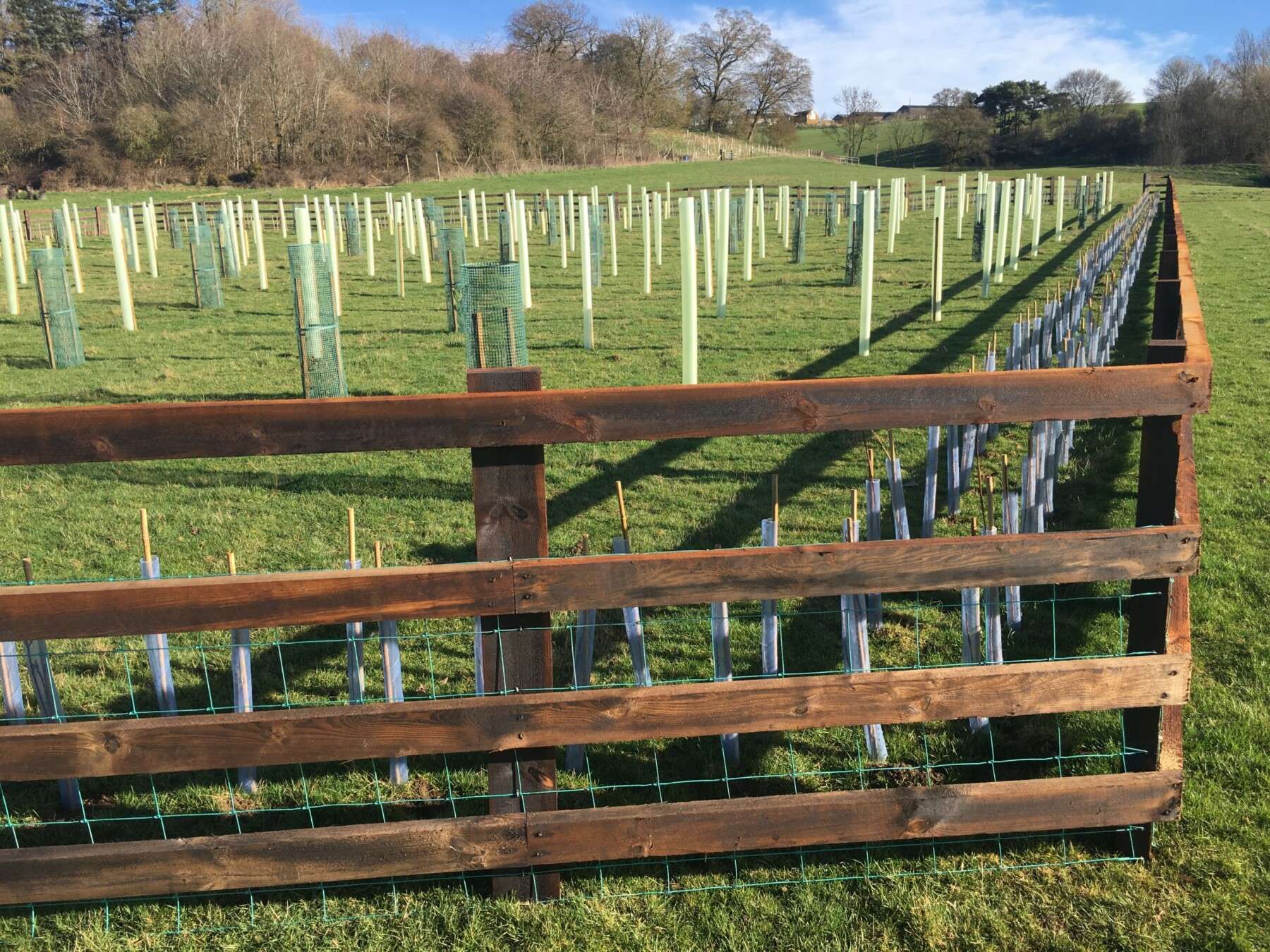 creosote post and rail with netting