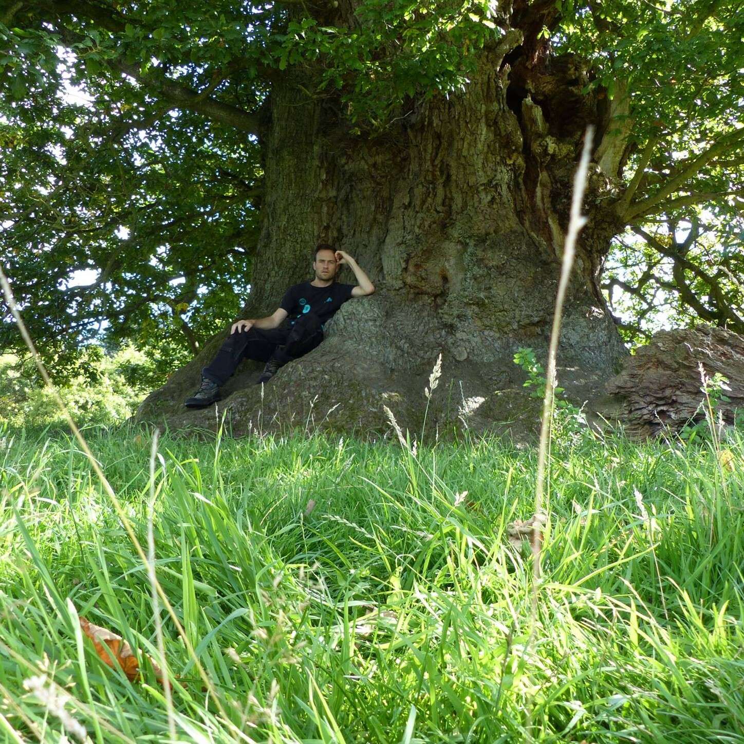Benedict on Herefordshire oak Benedict on Herefordshire oak