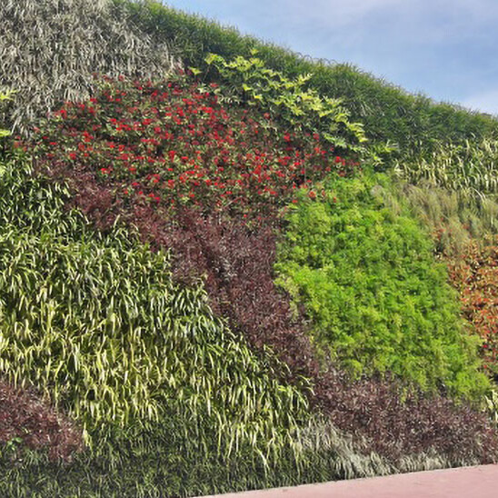 Living Walls: Vertical Sustainability