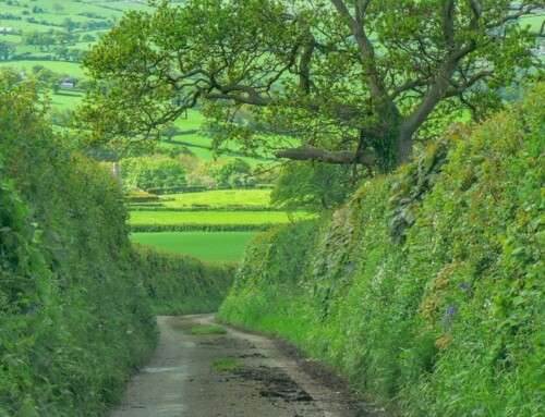 Land Management Incentives from DEFRA