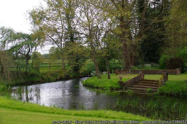 Trees for damp gardens