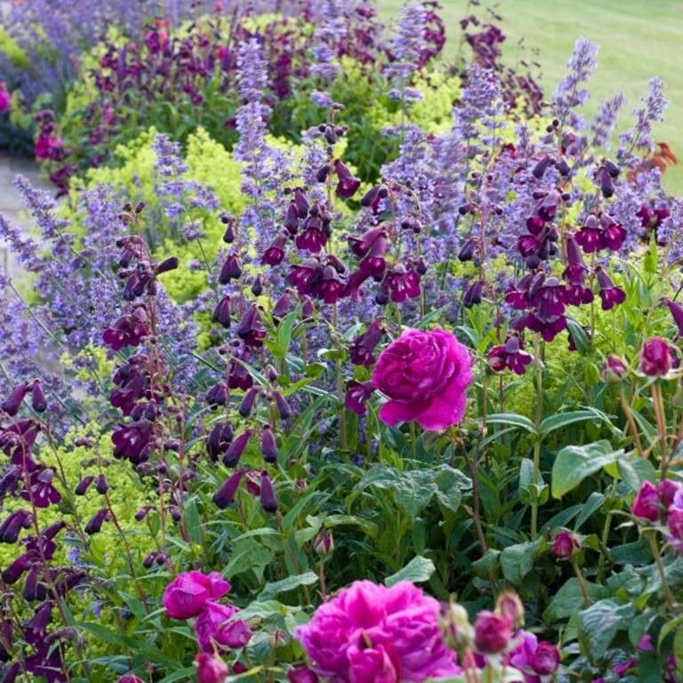 Nicholsons Gardens with Colour 1