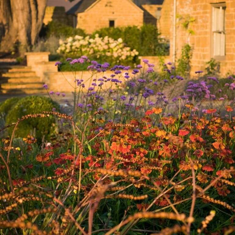 Nicholsons Gardens with Colour 2