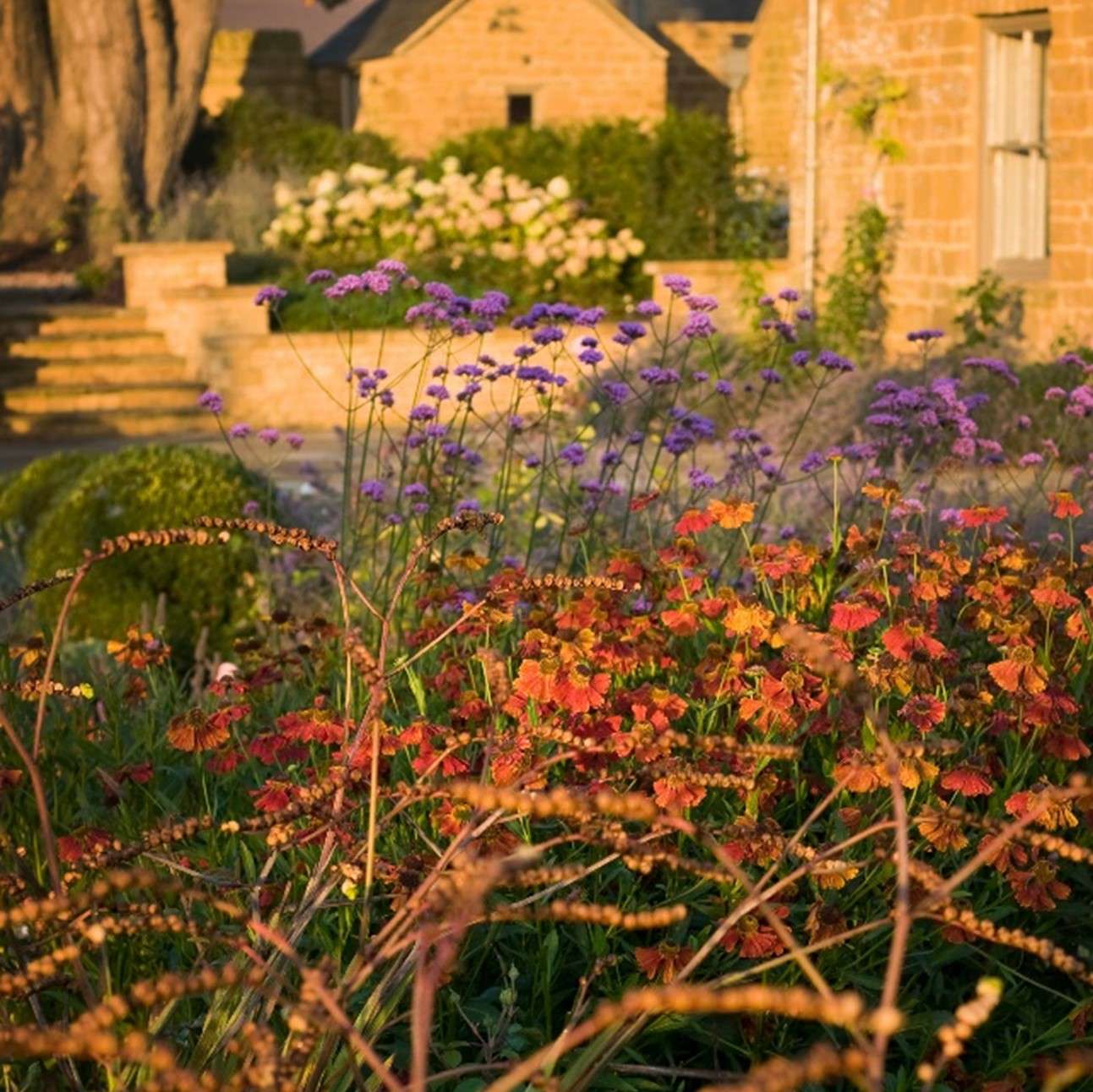 Nicholsons Gardens with Colour 2