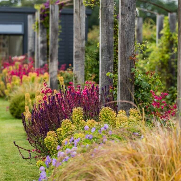 Nicholsons Gardens with Colour 3