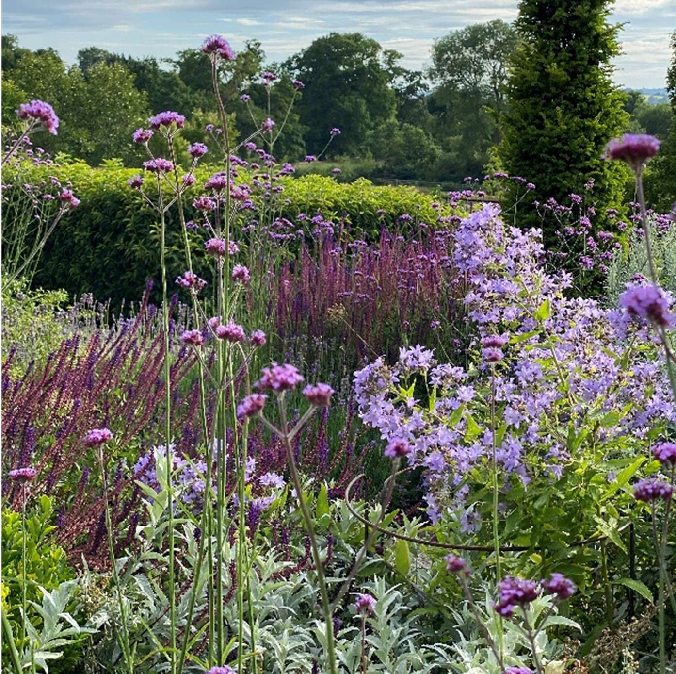 Nicholsons Gardens with Colour 4