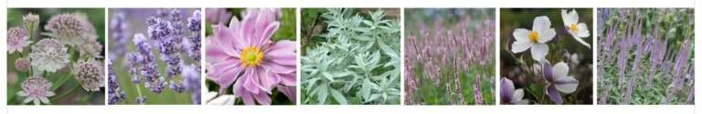 Soft pinks, lilacs and silvers