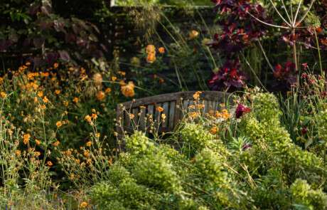 Nicholsons Garden Design - A Hidden Gem