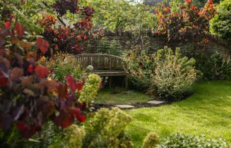 Nicholsons Garden Design - A Hidden Gem