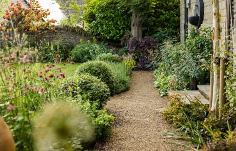 Nicholsons Garden Design - A Hidden Gem