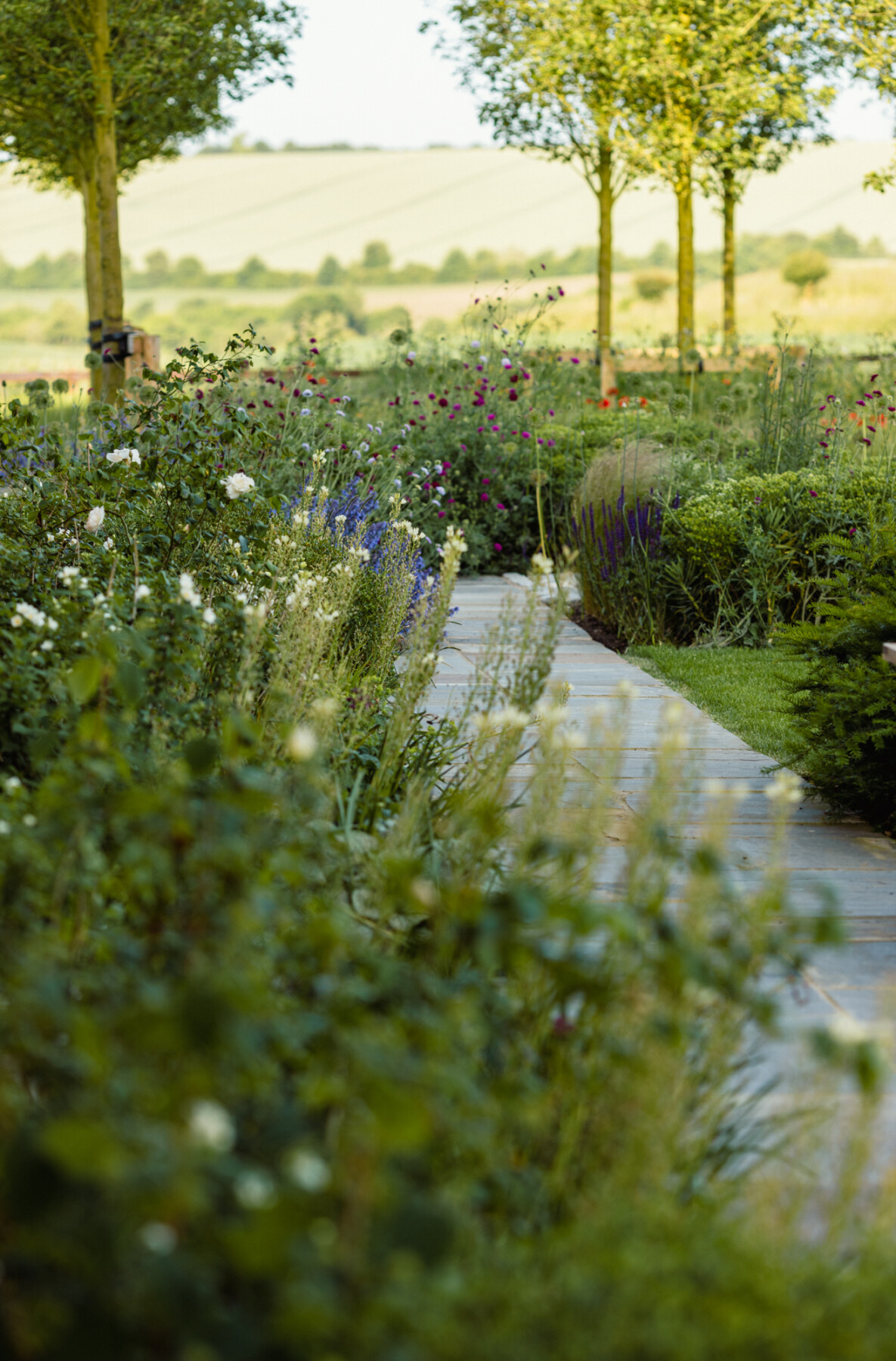 Nicholsons Lockhart Garratt Garden Design - Harmonious Garden