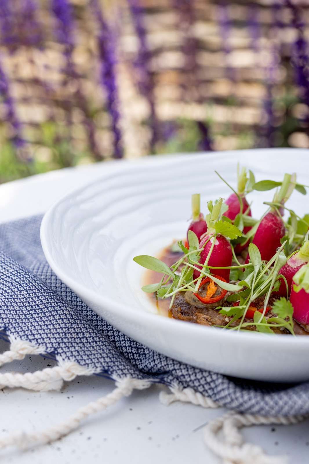 Yurt dish