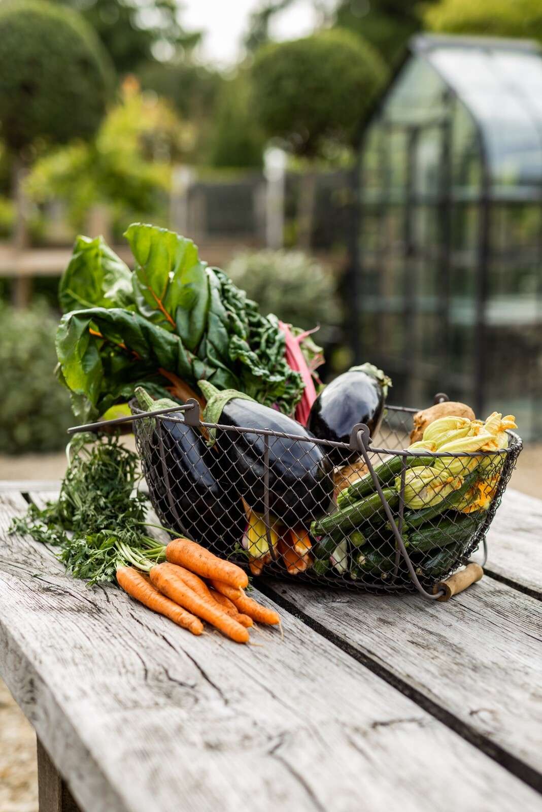 Yurt veg