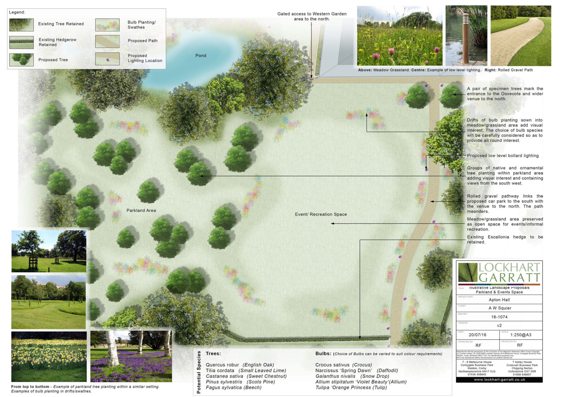 Landscape Design & Implementation