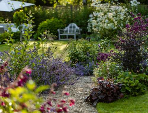 Contemporary Country Garden