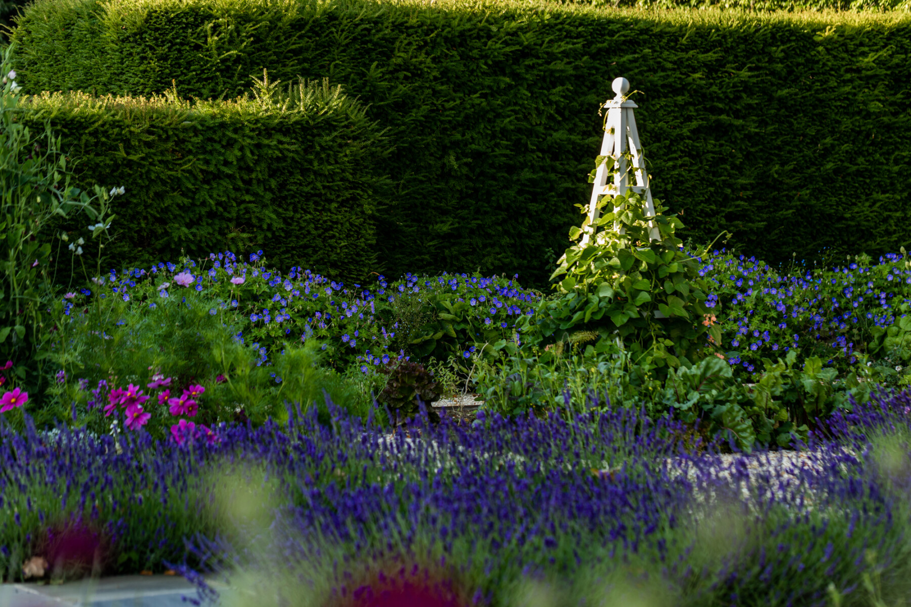 Nicholsons Lockhart Garratt Garden Design - A Celebration of Nature