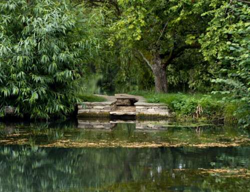 Manor house medieval lake restoration