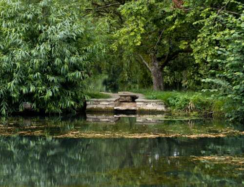 Manor house medieval lake restoration