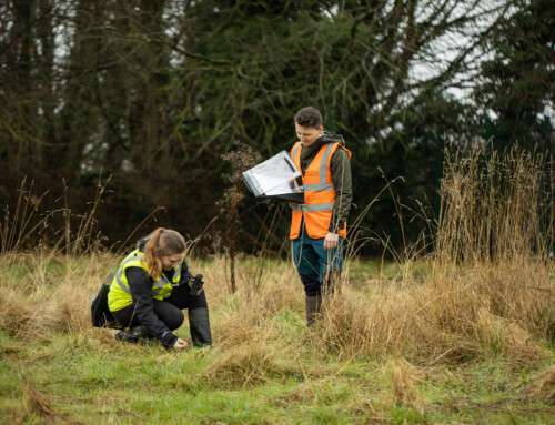 Nicholsons Lockhart Garratt Feature on the Teasels Biodiversity Podcast