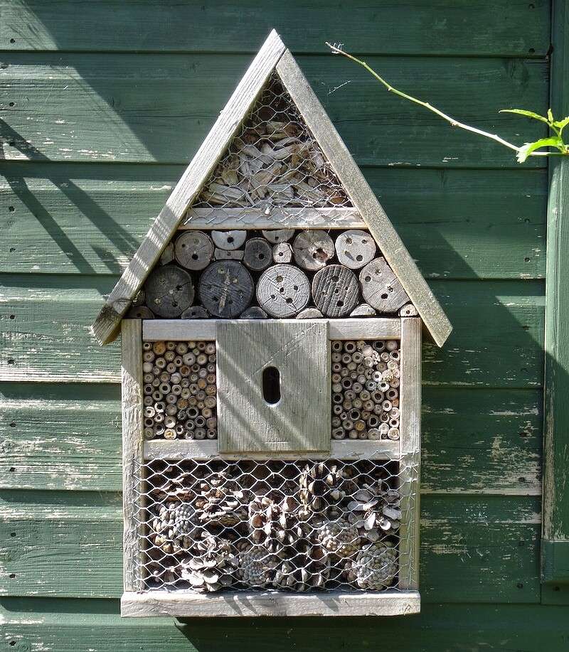 Wooden nesting house. Free public domain CC0 photo.