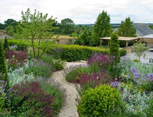 Planting Tips for Planting Season