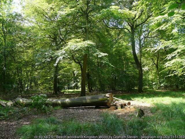 geograph-3151369-by-Graham-Steven