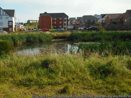 geograph-6608256-by-Richard-Sutcliffe