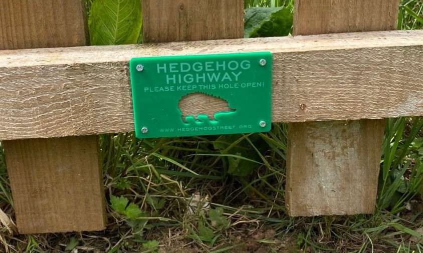 Hedgehog highway