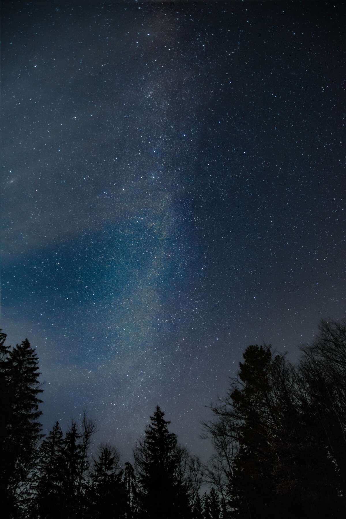 Nicholsons – Connecting with Nature – Stargazing