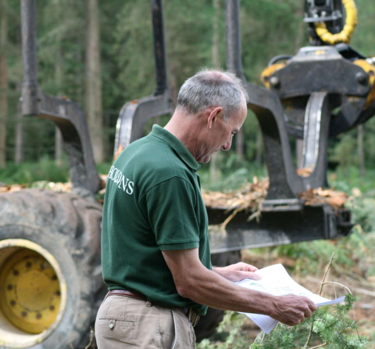 Nicholsons forestry