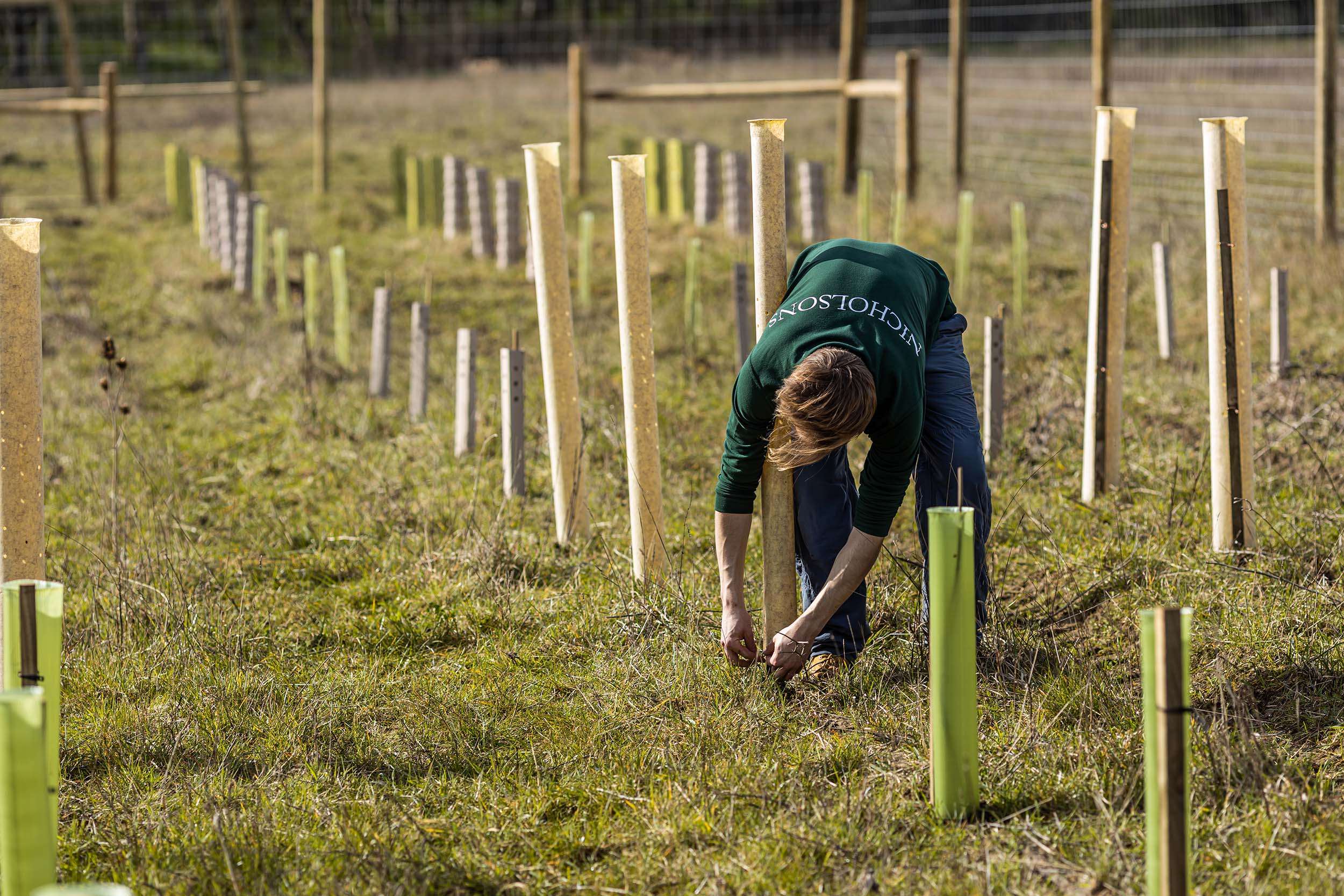 Nicholsons installing biodegradable guards
