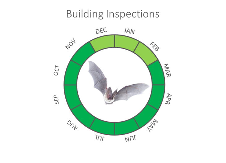 Building Inspections