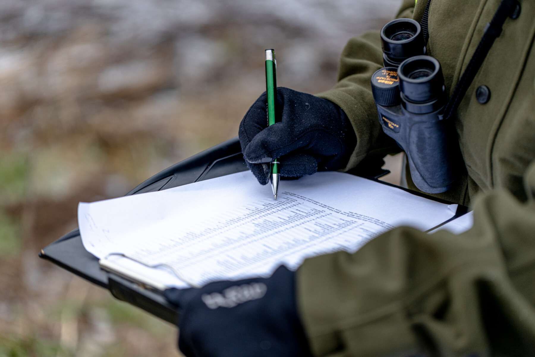 Nicholsons Ecology: Tree Surveys