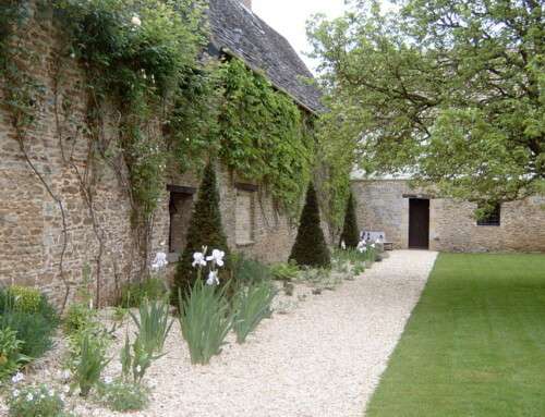 The Timeless Beauty of Topiary Trees: Elevating Gardens with Artful Sculptures