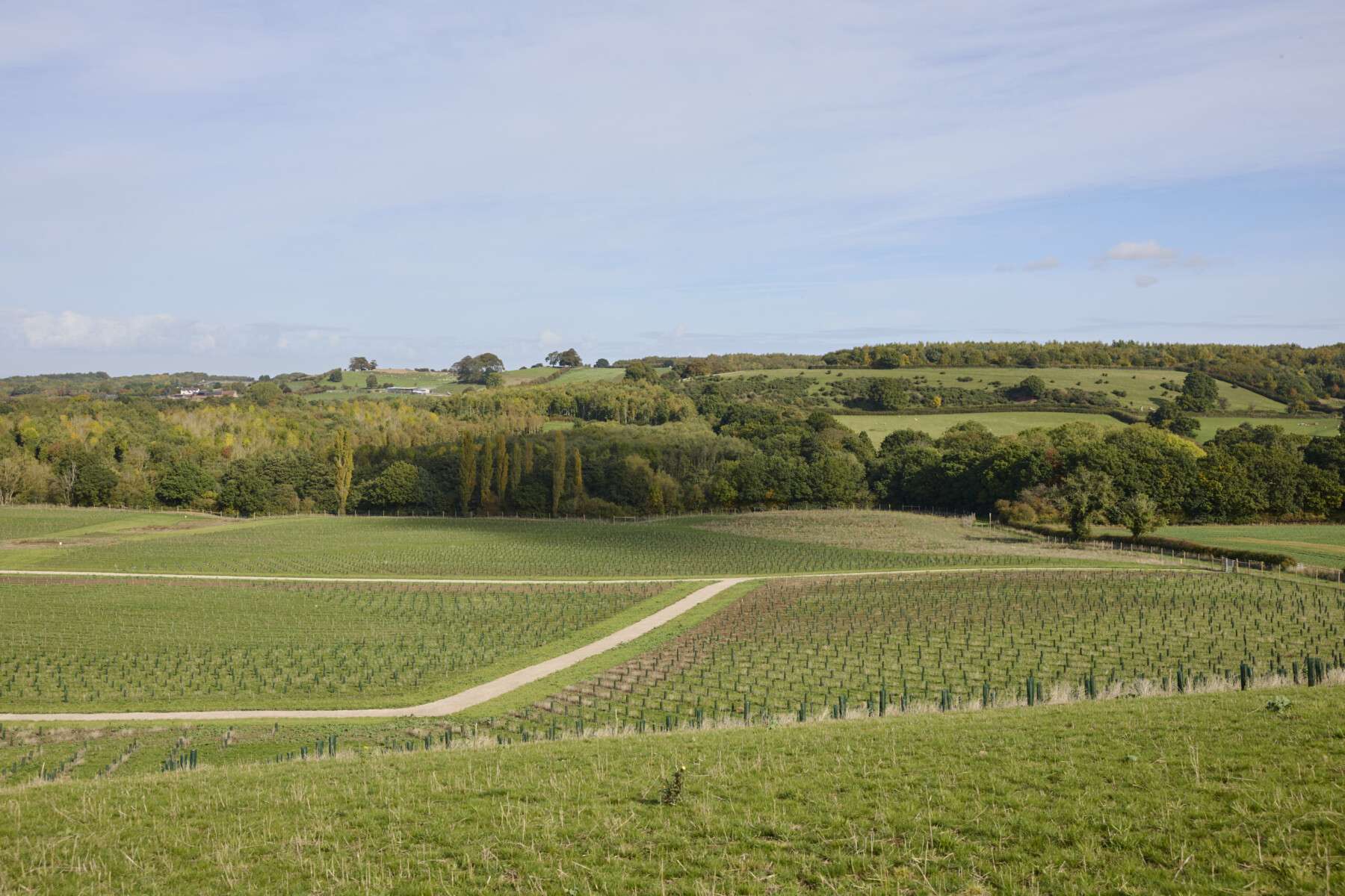 landscape project case study