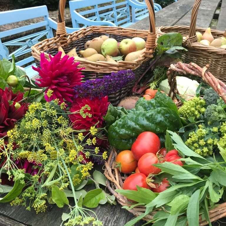 Foraging