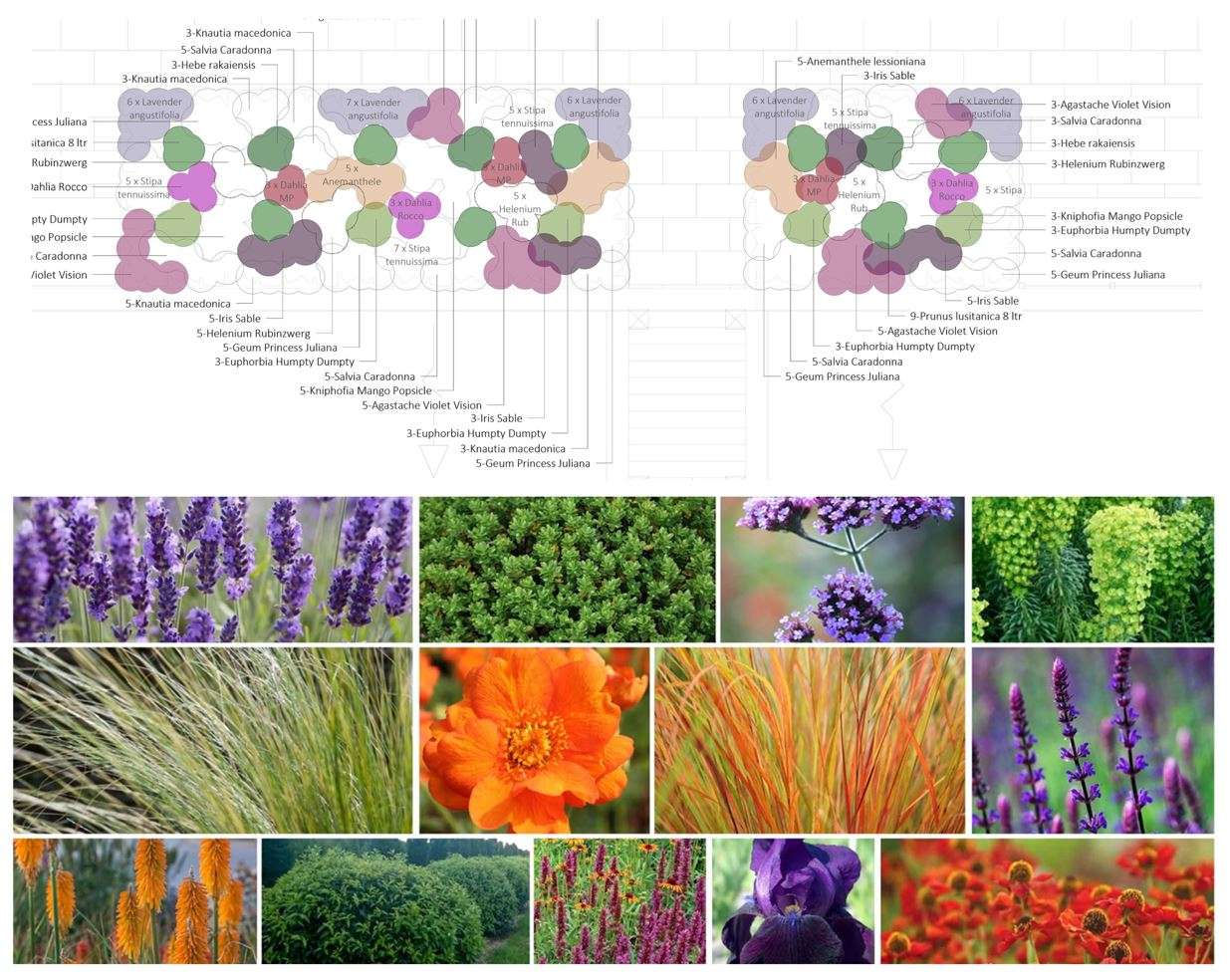 Nicholsons Garden Design - Planting Plan