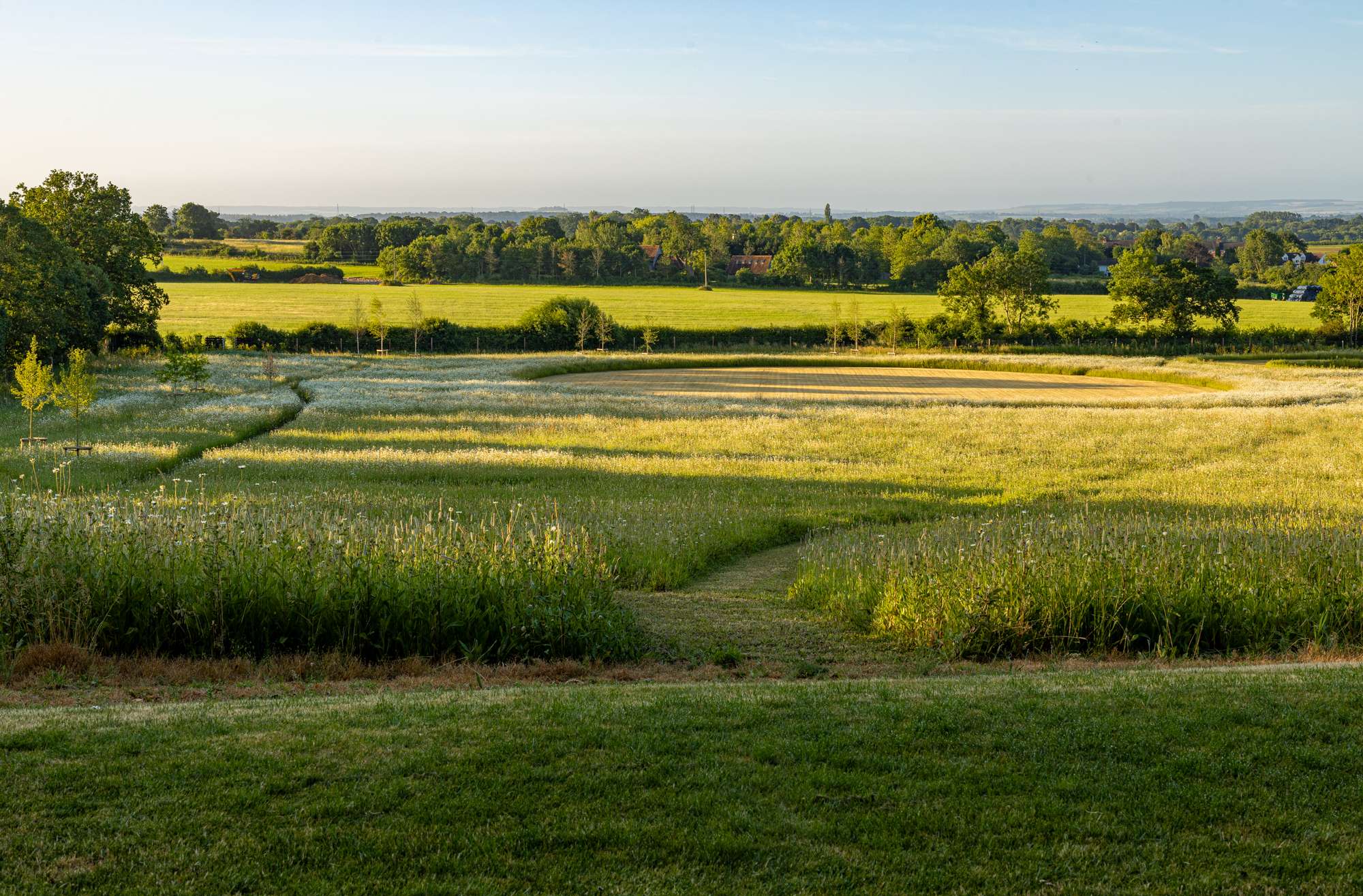 Nicholsons Garden Design - Idyllic Meadow Restoration