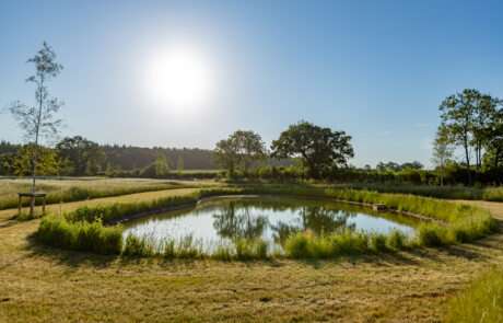 Nicholsons Garden Design - Idyllic Meadow Restoration