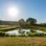 Nicholsons Garden Design - Idyllic Meadow Restoration