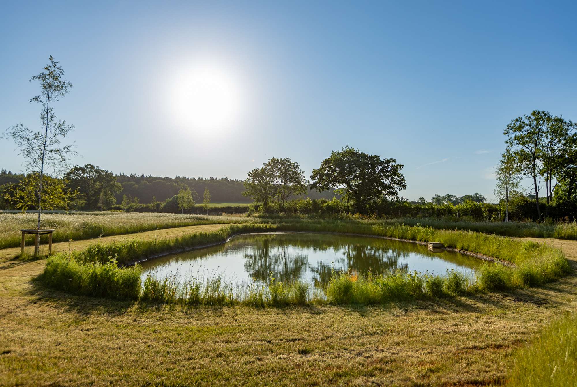 Nicholsons Garden Design - Idyllic Meadow Restoration