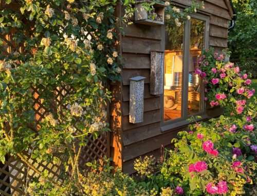 Plea for a Summerhouse