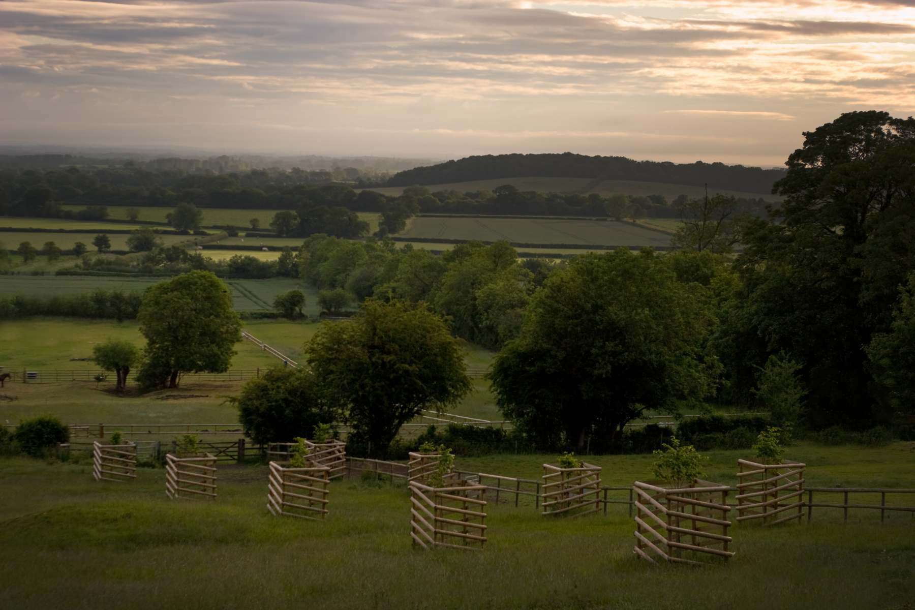 Nicholsons Garden Construction - Parkland Planting